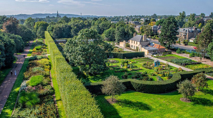 an-aerial-view-of-a-garden