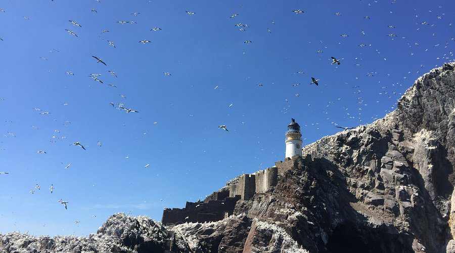 view-of-bass-rock-lighthouse